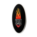 Oval Lapel Pins (Express)