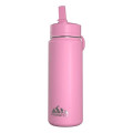 20 oz Hydrapeak® Stainless Steel Mini Bottle w/ Straw Lid