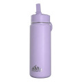 20 oz Hydrapeak® Stainless Steel Mini Bottle w/ Straw Lid