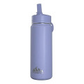 20 oz Hydrapeak® Stainless Steel Mini Bottle w/ Straw Lid