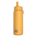 20 oz Hydrapeak® Stainless Steel Mini Bottle w/ Straw Lid