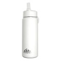 20 oz Hydrapeak® Stainless Steel Mini Bottle w/ Straw Lid