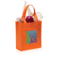 Non-Woven Small Gift Bags