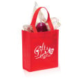 Non-Woven Small Gift Bags