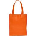Non-Woven Small Gift Bags