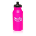 20 oz. Water Bottles with Push Cap