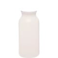 20 oz. Water Bottles with Push Cap