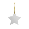 Acrylic Ornament - Star