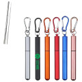 304 Metal Case Reusable Collapsible Straws