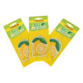 Customizable Scented Air Freshener for Auto or Home Full