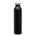 20 oz. Posh Stainless Steel Water Bottle