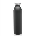 20 oz. Posh Stainless Steel Water Bottle