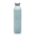 20 oz. Posh Stainless Steel Water Bottle