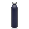20 oz. Posh Stainless Steel Water Bottle