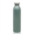 20 oz. Posh Stainless Steel Water Bottle