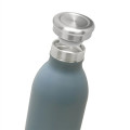 20 oz. Posh Stainless Steel Water Bottle