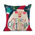 Square Throw Pillow Cushion