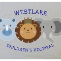 30" x 40" Sublimation Plush Throw Blanket