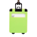 Mini Carry-on Luggage Tags