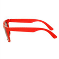 Two Tone Plastic Sunglasses