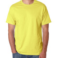 Hanes® Heavyweight T-Shirt