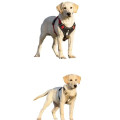 Vest-Style Large Dog Harness Without Leash