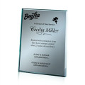 Mirror Plaque - Silver
