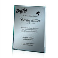 Mirror Plaque - Silver