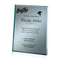 Mirror Plaque - Silver