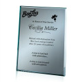 Mirror Plaque - Silver