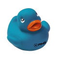 Colorful Duck