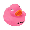 Colorful Duck