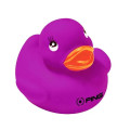 Colorful Duck