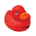 Colorful Duck