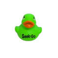 Colorful Duck