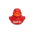 Colorful Duck