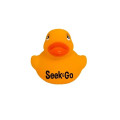 Colorful Duck