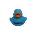 Colorful Duck