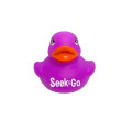 Colorful Duck