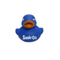 Colorful Duck