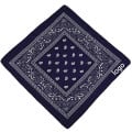 22" Full Color 100% Cotton Paisley Bandana 