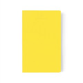 Moleskine® Volant Ruled Large Journal