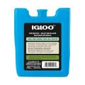 Igloo® Ice Block - Small