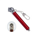Portable Mini Tire Gauge W/ Key Chain
