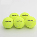 Pet Fetch Toy Tennis Ball