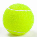Pet Fetch Toy Tennis Ball