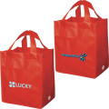Non-Woven Carry All Bag