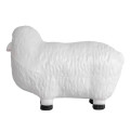 Sheep Stress Reliever