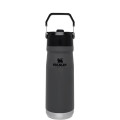22 oz Stanley® Stainless Insulated Flip Straw Water Bottle