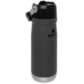 22 oz Stanley® Stainless Insulated Flip Straw Water Bottle